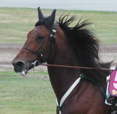 Ugly Duckling 160923-6